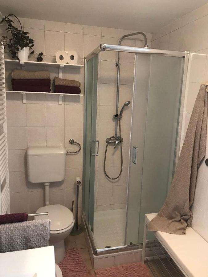 Appartamento Koradinovi - Pod Vrtom Vipava Esterno foto