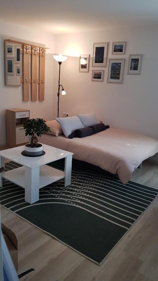 Appartamento Koradinovi - Pod Vrtom Vipava Esterno foto