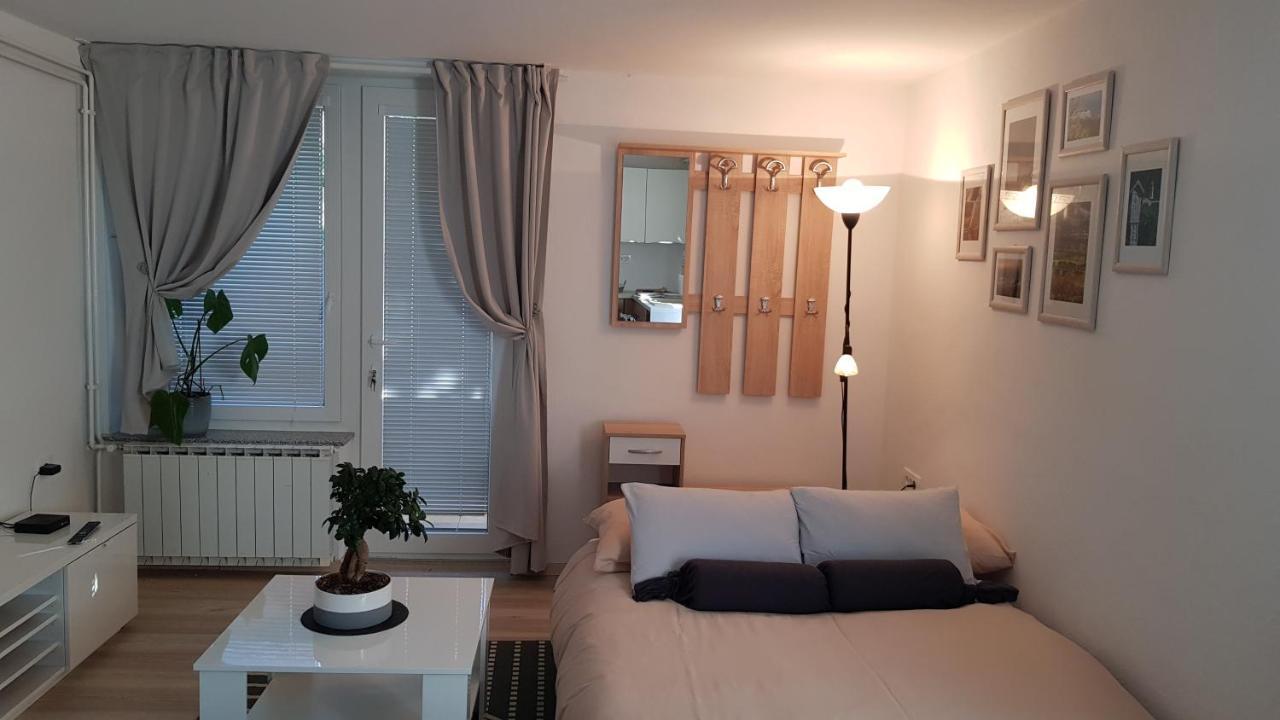 Appartamento Koradinovi - Pod Vrtom Vipava Esterno foto