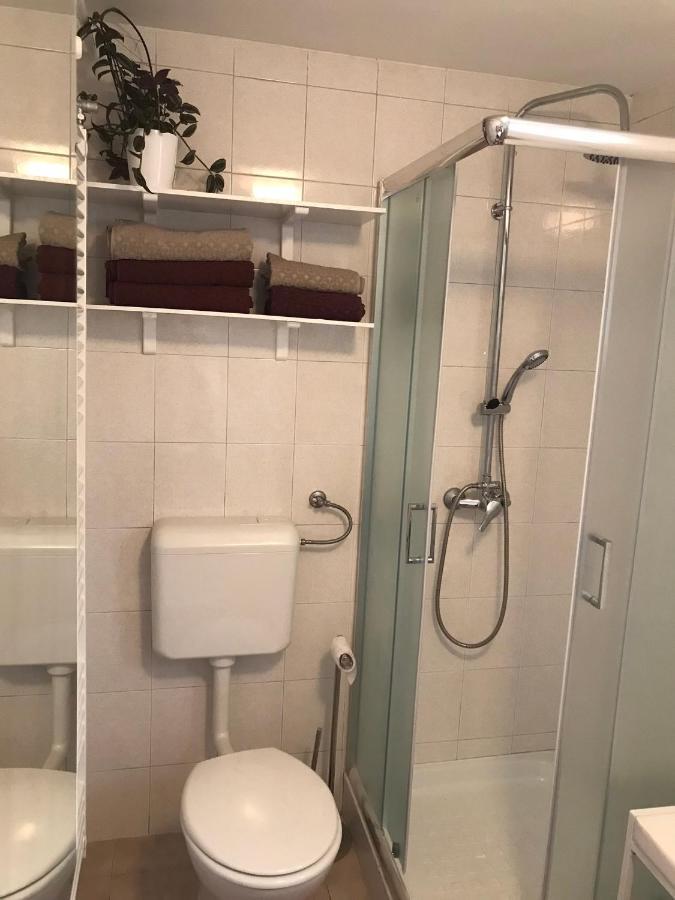 Appartamento Koradinovi - Pod Vrtom Vipava Esterno foto