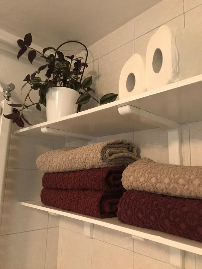 Appartamento Koradinovi - Pod Vrtom Vipava Esterno foto